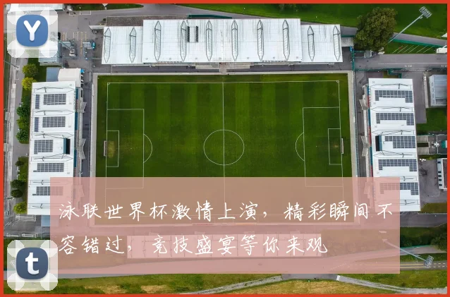 泳联世界杯激情上演，精彩瞬间不容错过，竞技盛宴等你来观