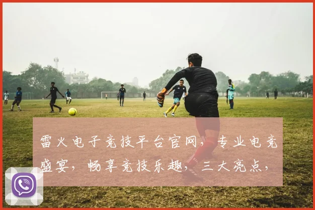 雷火电子竞技平台官网，专业电竞盛宴，畅享竞技乐趣，三大亮点，不容错过，等你来战