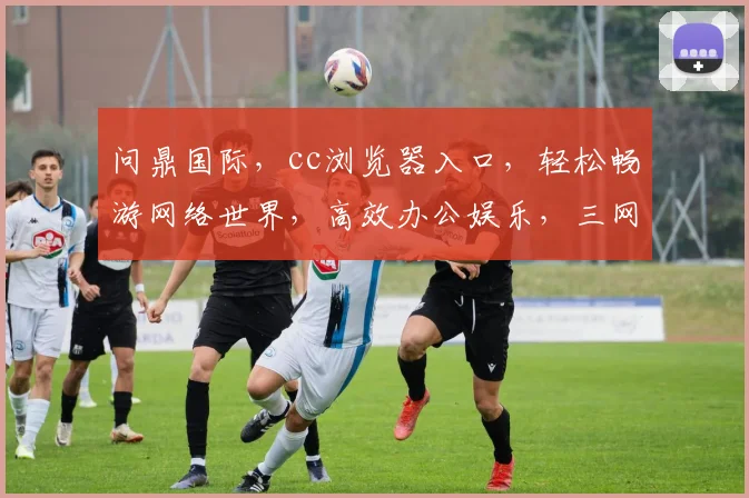问鼎国际，cc浏览器入口，轻松畅游网络世界，高效办公娱乐，三网通吃，一触即达，体验非凡