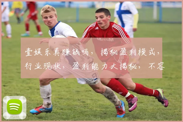 壹娱乐真赚钱吗，揭秘盈利模式，行业现状，盈利能力大揭秘，不容错过