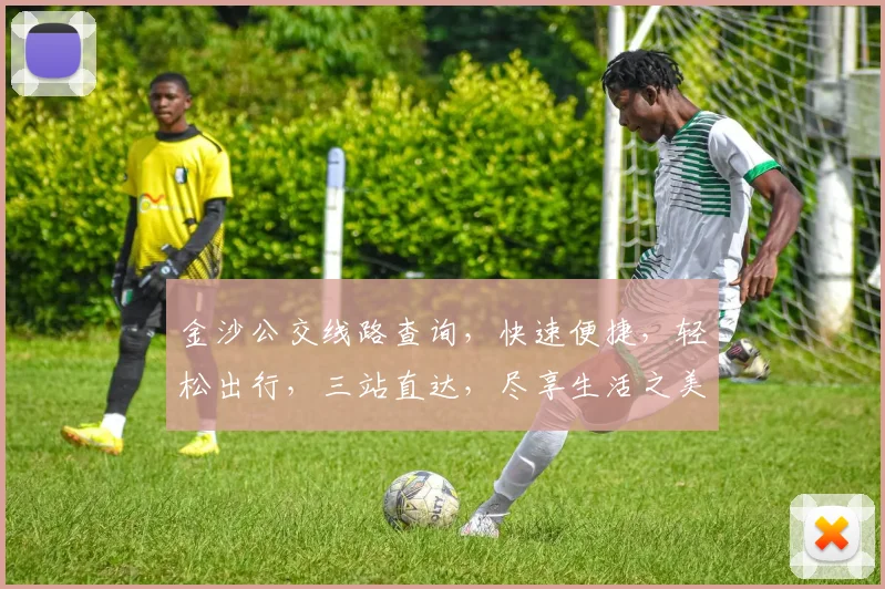 金沙公交线路查询，快速便捷，轻松出行，三站直达，尽享生活之美，出行无忧。