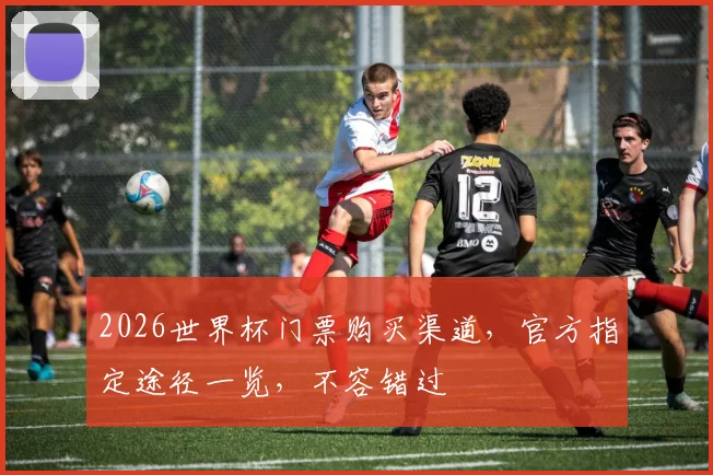2026世界杯门票购买渠道，官方指定途径一览，不容错过