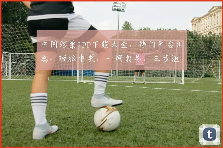 中国彩票app下载大全，热门平台汇总，轻松中奖，一网打尽，三步速成