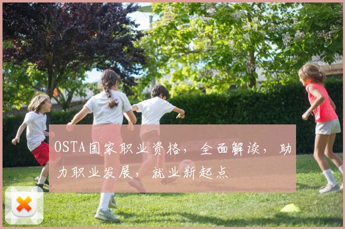 OSTA国家职业资格，全面解读，助力职业发展，就业新起点
